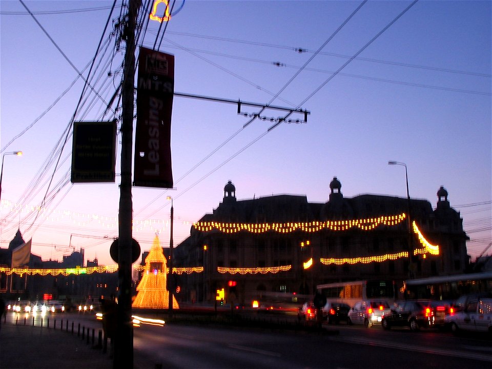 Cismigiu2004_1112(045)
