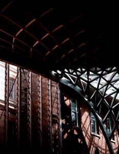 _DSC1844