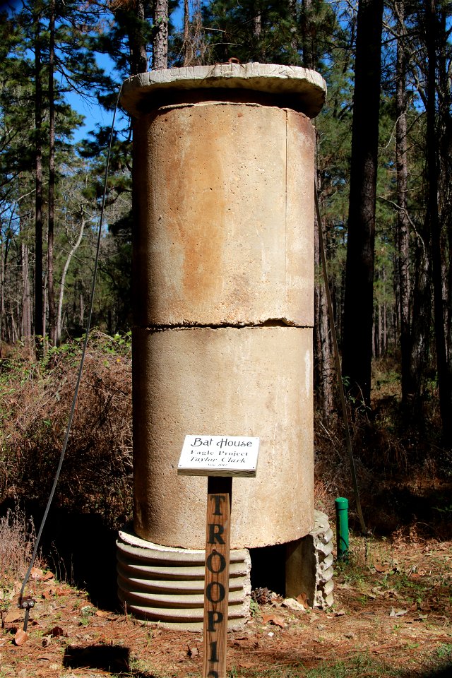 Bat house at Stuart Lake - Kisatchie National Forest