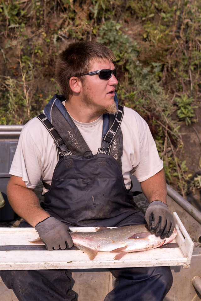 Invasive Carp Research on the James River in South Dakota. Photo: Sam Stukel (USFWS)