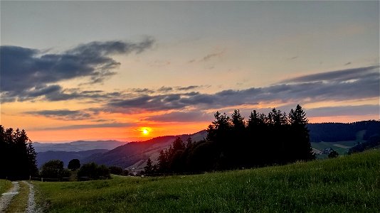 IMG_20220727_205739