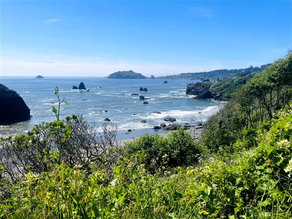 Trinidad beach