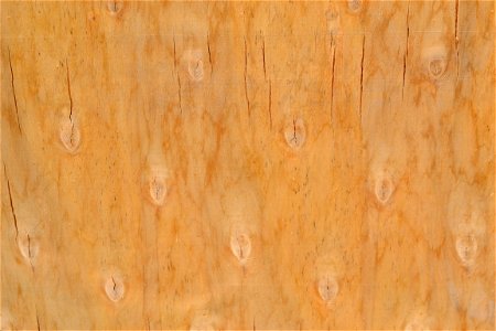 Texture