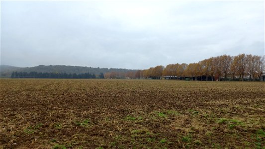 Ancien emplacement du Camp du Vernet