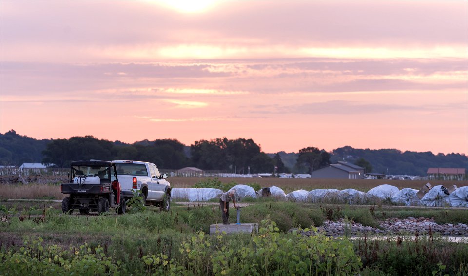 Water Quality Monitoring photo