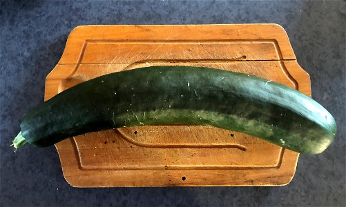 The Monster Zucchini