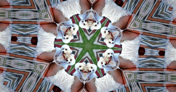 Kaleidoscope230313212858