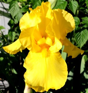 DSC05151