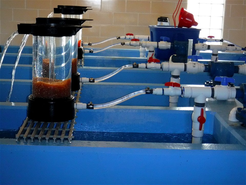 Moving Water Through Egg Jars