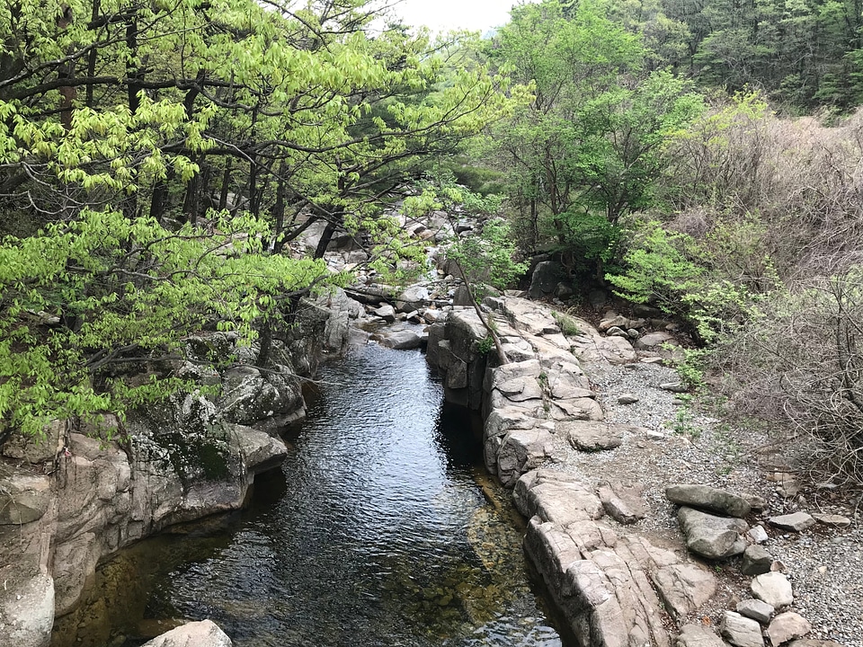 Gajisan state park in South Korea