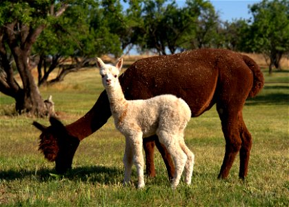 Day 4: Hanging out with Mom