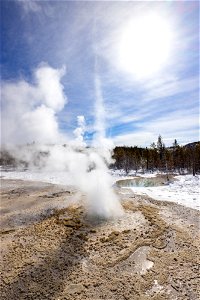 Vixen Geyser eruption (portrait) photo