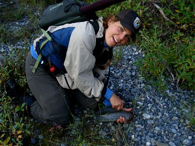 Arctic Refuge Grayling photo