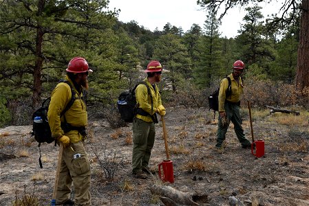Ray Mesa Prescribed Burn Fall 2021