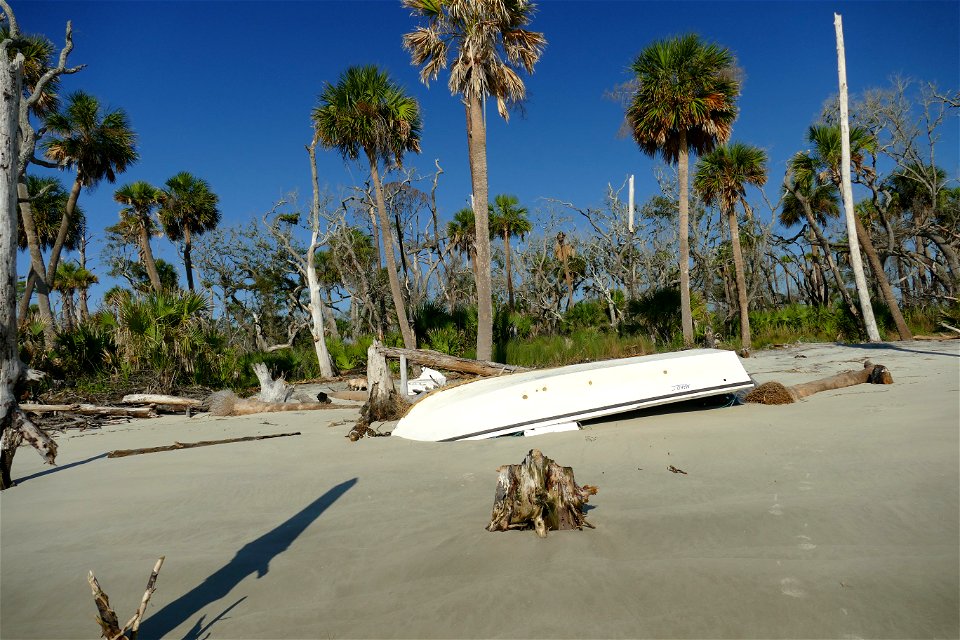 shipwrecked-P1950169