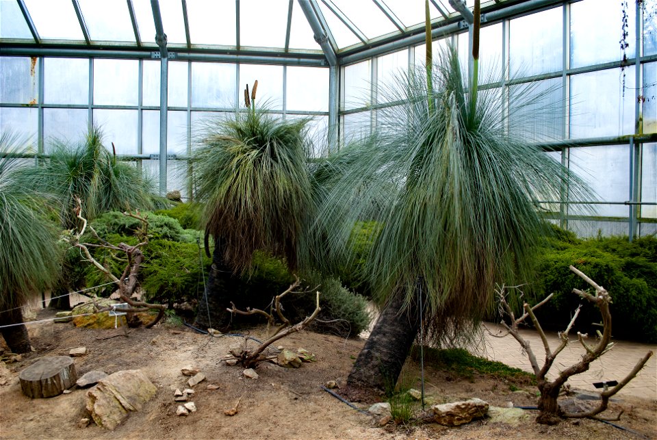 Hantaek Botanical Garden