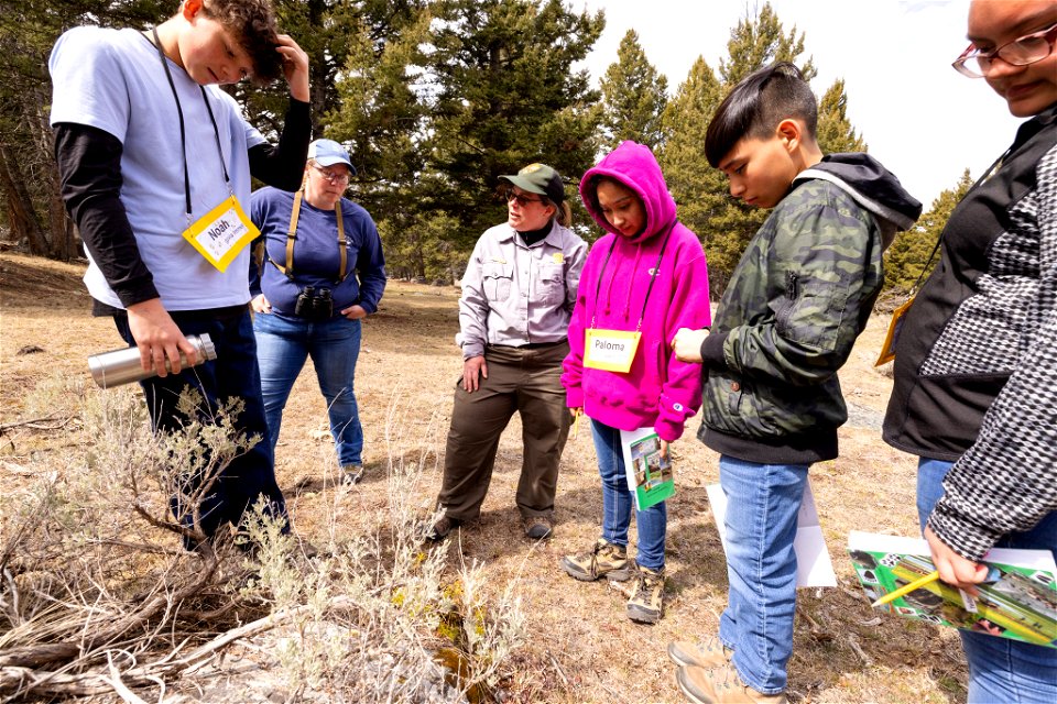 Expedition Yellowstone group checking out lichen on a rock