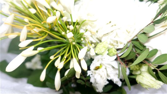 flori_flowers-wife-2023_0216_162035