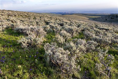 Near Medicine Lodge Canyon