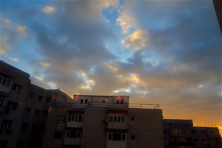 IMG_0406