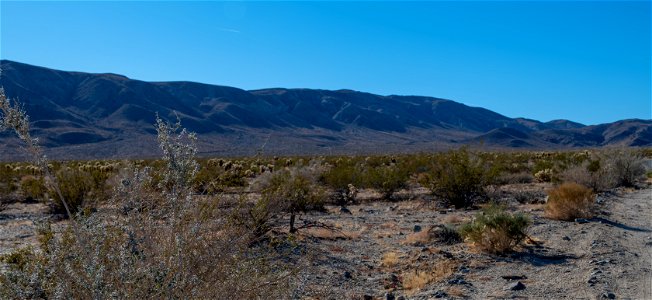 Joshua Tree National Park