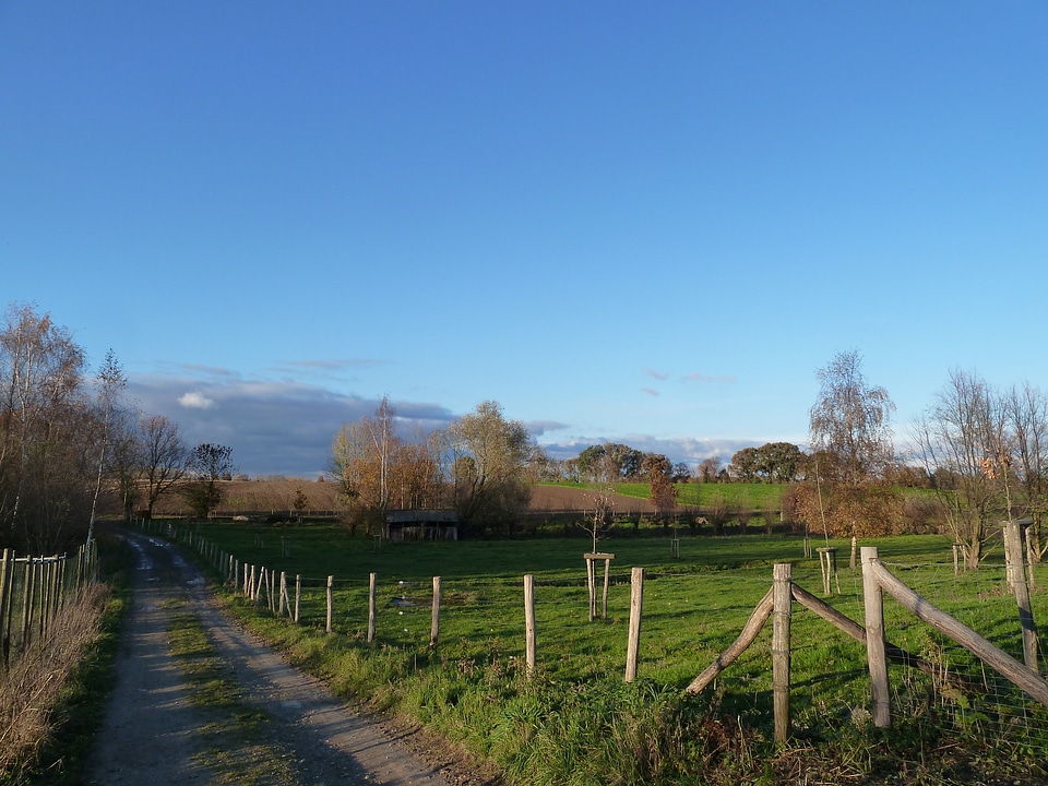 Field south of Bisseweg in Limburg, Netherlands