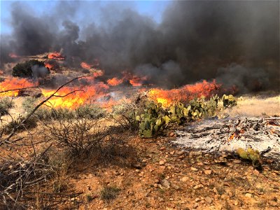 Black Hills Wash Rx Burn April 2, 2022 photo