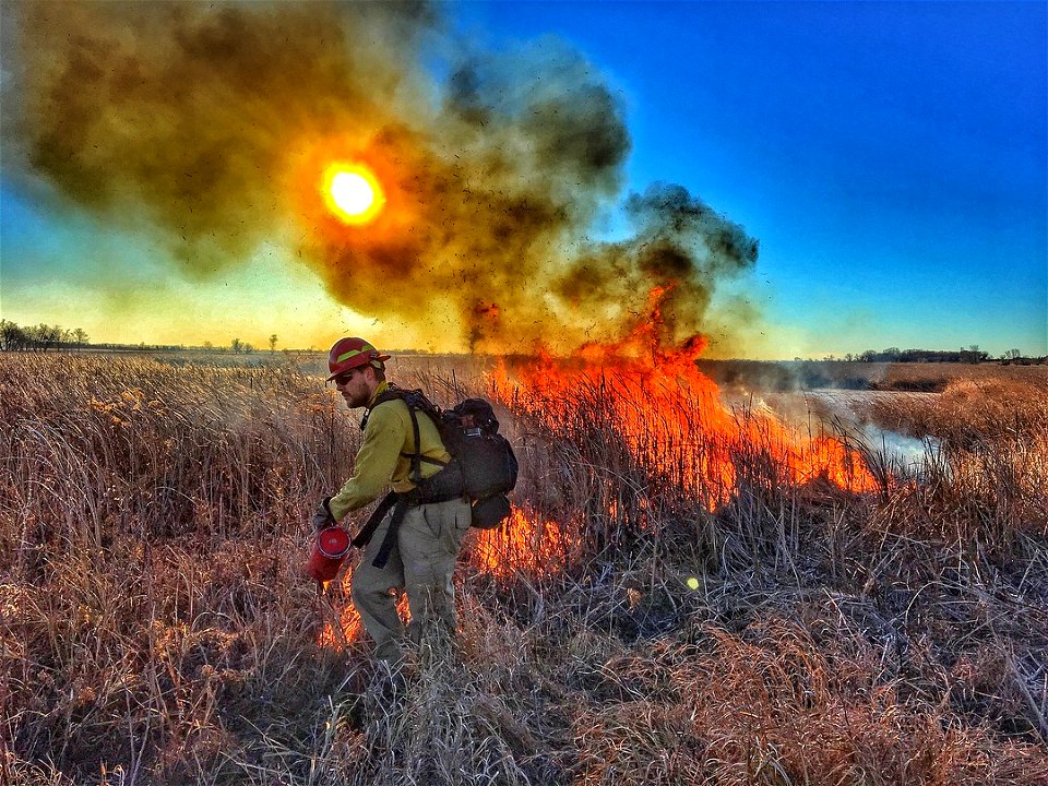 Winner - Personnel Category - USFWS 2022 Photo/Video Contest