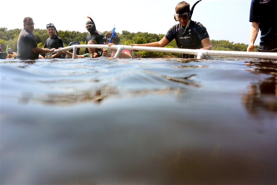 Quadrants for Mussel Release