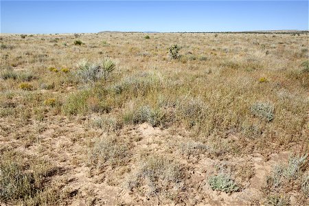 South of the Sierra Larga