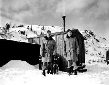 SC 171543 - Infantry Guard Dogs of U.S. Army. photo