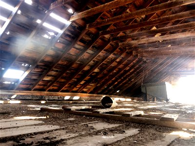 Peek Up in the Barn Roof