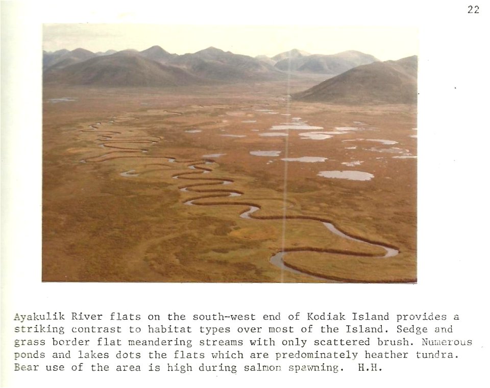 (1979) Ayakulik River