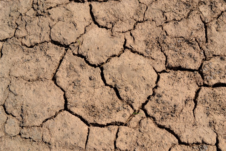 Free textures with cracks