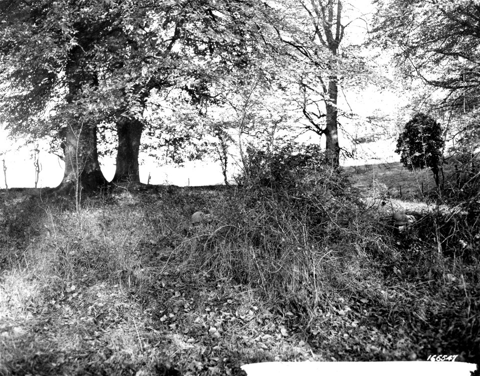 SC 166547 - Members of a scouting and patrol party during recent battle practice in Northern Ireland. 12 November, 1942.