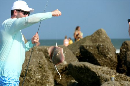 STING RAY-P1910138 photo