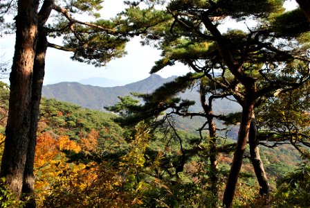 Deoksungsan Mountain