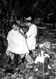 SC 151441 - 1st. Lt. John N. Butchard, Honolulu, T.H. in Hawaii, is getting a haircut in the open air Barber Shop. The barber is Pvt. Charles Di Pippa, Berwich, Penn. photo