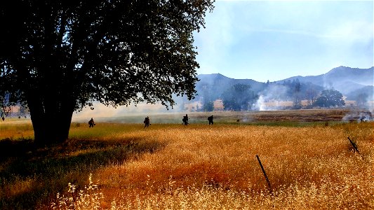 2021 BLM Fire Employee Photo Contest Category: Crews photo