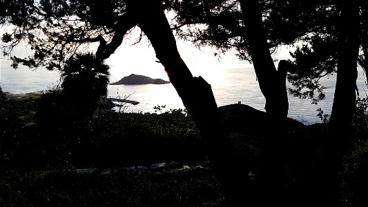 Cannelle, Centuri, Cap Corse