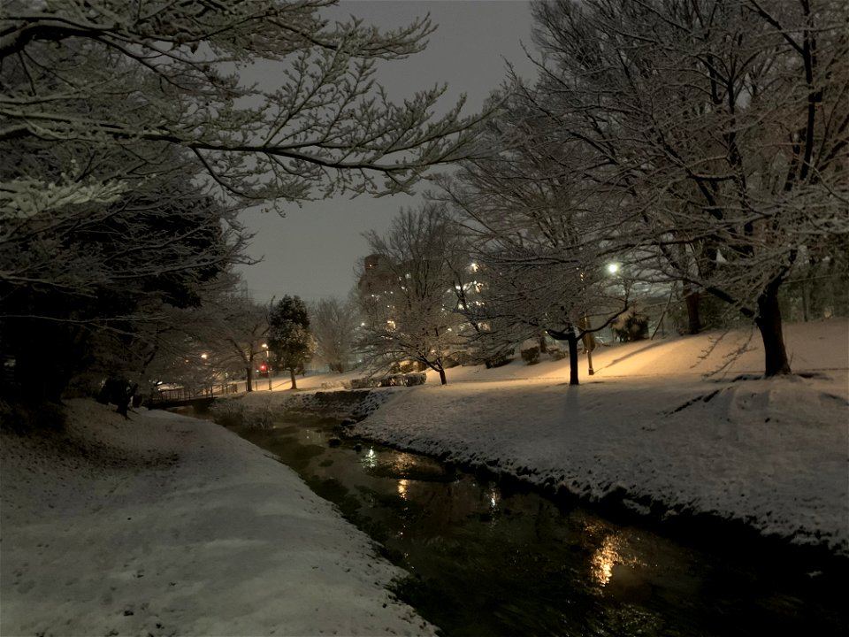 Kurome River in Shimosato, Higashikurume-shi