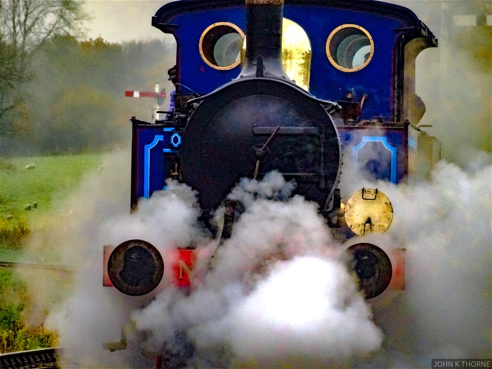 BLUEBELL