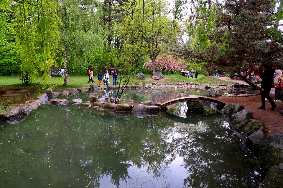 japanes_garden_rain_Herastrau (101)