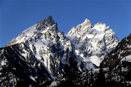 The Cathedral Group