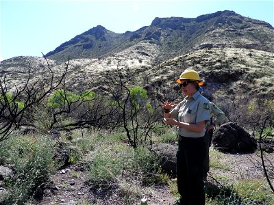 Fossil Creek Soil Monitoring photo