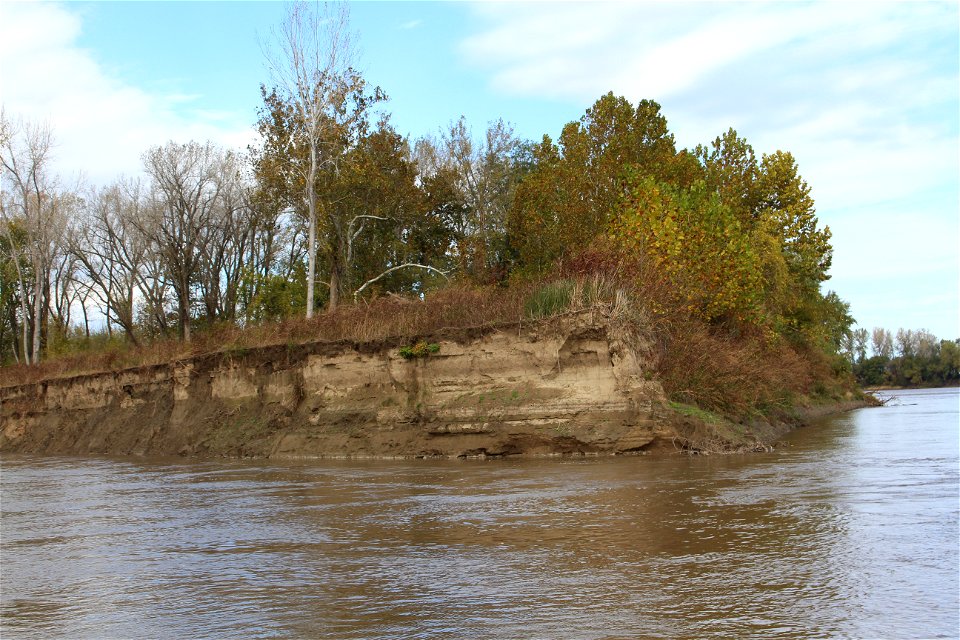 Sediment Layers at Crandberry Bend