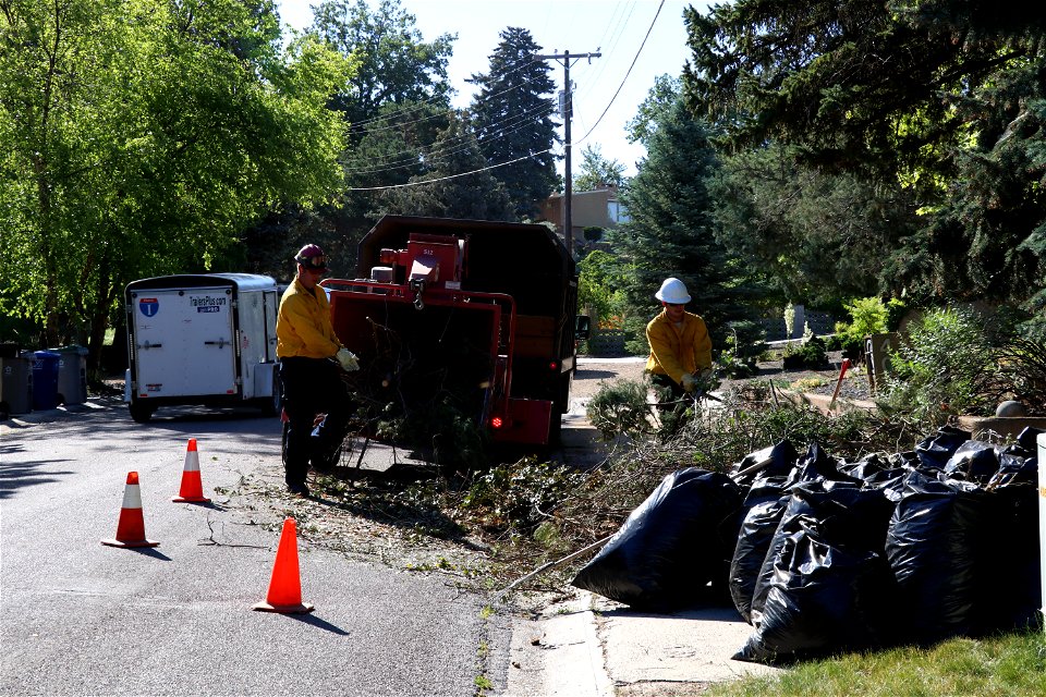Wood Chipping in Boise