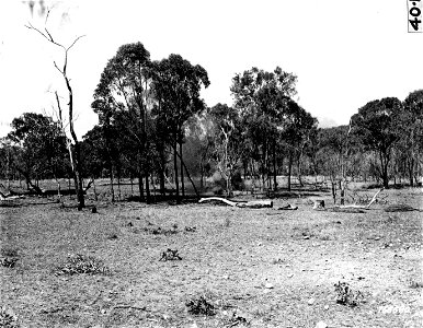 SC 166680 - Burst of hand grenade thrown at a dummy machine gun nest during a demonstration given by a platoon in Australia. photo