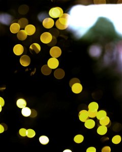 IMG_20211219_142240_392