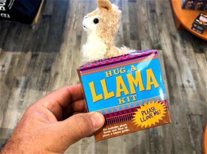 Llama Love in a Box